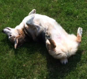 AdobePhotoshopExpress_2015_09_20_18_58_47