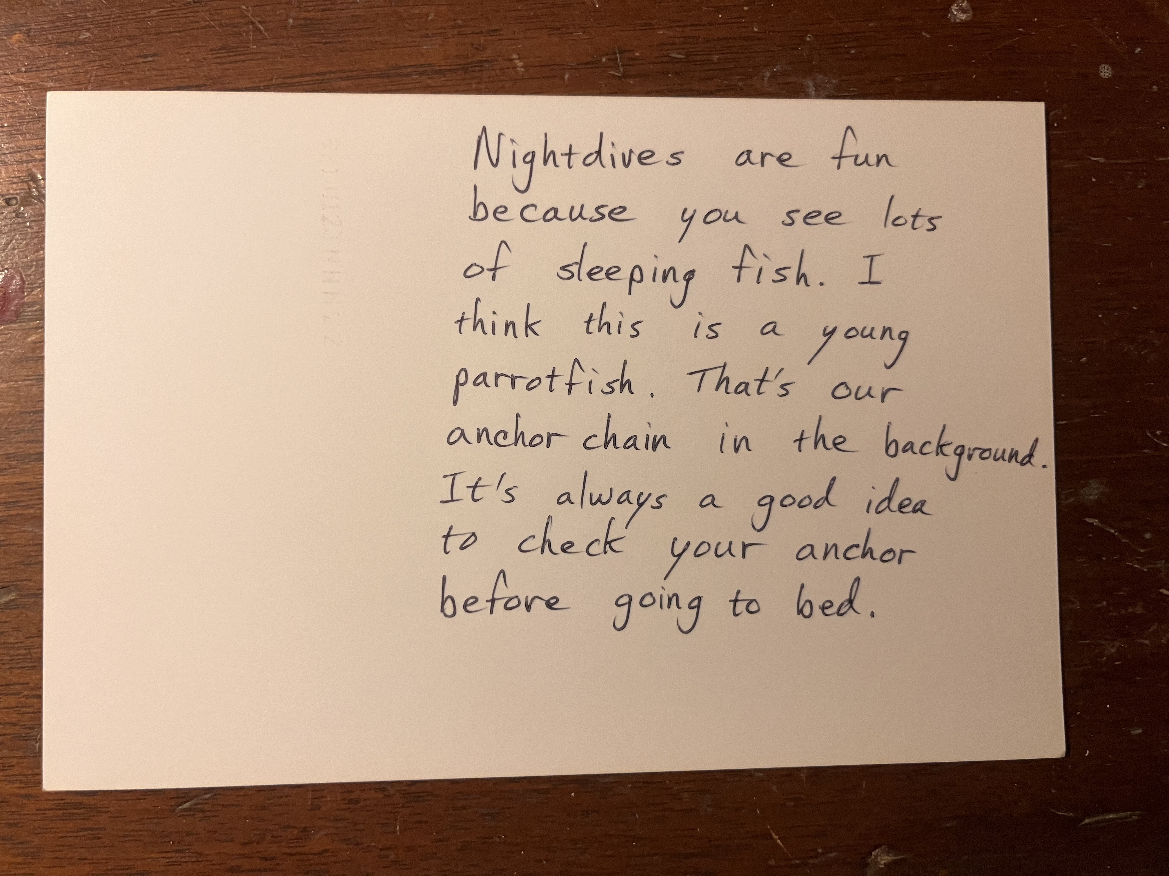 Handwriting that reads "Nightdives are fun because you see lots of sleeping fish. I think this is a young parrotfish. That's our anchor chain in the background. It's always a good idea to check your anchor before going to bed."